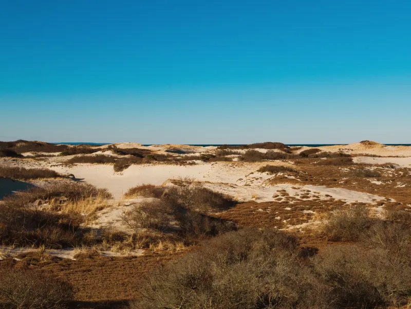 48 Hours on Cape Cod for Less Than You Think: A Minimalist Weekend Done Right