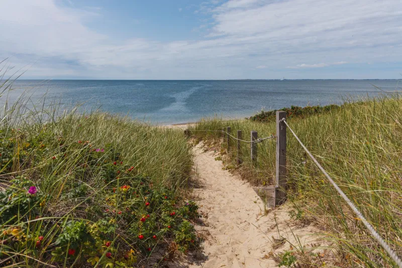 Cape Cod on a Real Budget: How to Have an Amazing Trip Without the Sticker Shock