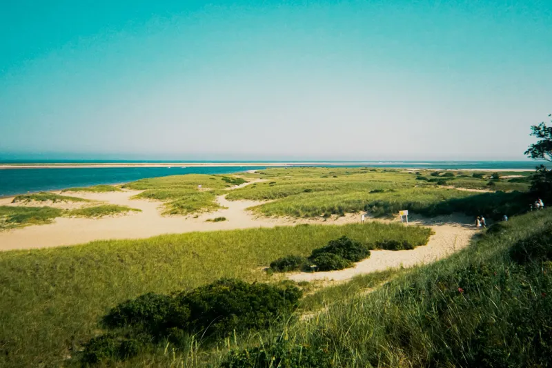 Forget the Ocean for a Day: Cape Cod's Freshwater Ponds Are the Summer Upgrade You Didn't Know You Needed