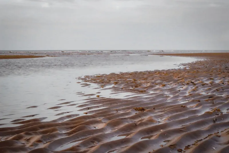 Sand Between Your Toes, No Strangers in Sight: Cape Cod's Most Peaceful Beaches