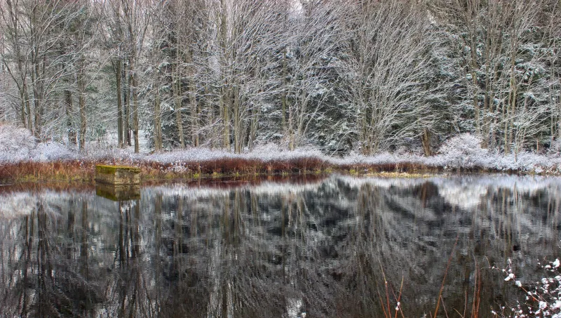 February on the Cape: Cold Weather, Warm Locals, and the Best Version of a Classic Destination