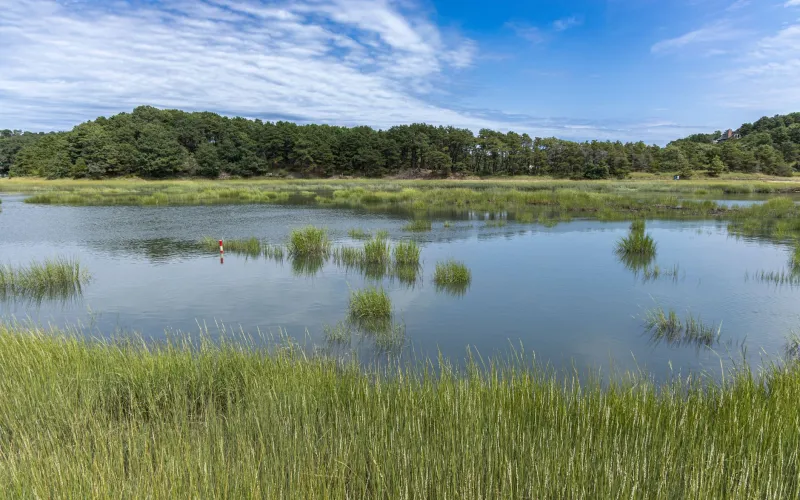 Paddle Into the Wild: Kayaking Cape Cod's Forgotten Waterways